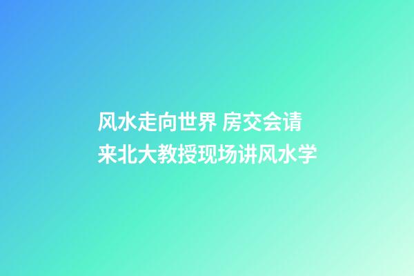 风水走向世界 房交会请来北大教授现场讲风水学